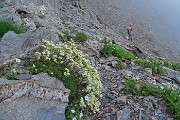 97 Scendiamo nella nebbia ma con i fiori !